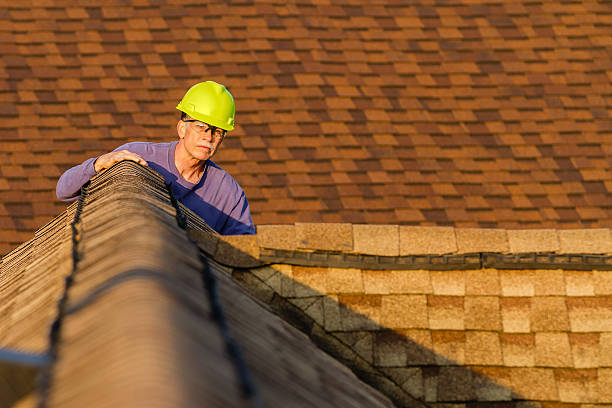 Best Roof Gutter Cleaning  in Silver Spring, MD